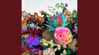 Bed Music - North View