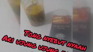 Download lagu Story wa  30 detik bahasa sunda .. mp3