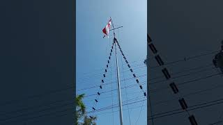 Download lagu Penaikan Bendera Khas TNI AL mp3 Download lagu Penaikan Bendera Khas TNI AL mp3