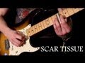 'SCAR TISSUE' by Red Hot Chili Peppers - Instrumental Cover Performed by Karl Golden