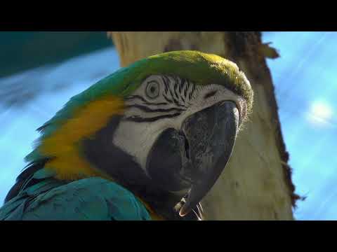 Sept 2025 Belgrade zoo