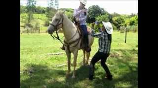 preview picture of video 'Não vendo meu cavalo e nem do - Chica Taciba'