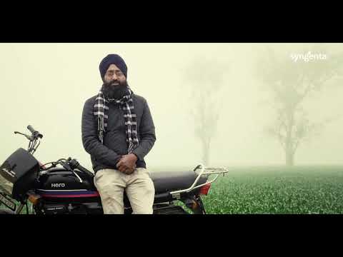 Syngenta RISQ Test | Grower Testimonial | Moga | Punjab