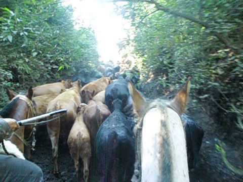 Terminando la tropa...Arroyo Yerbal...paso...La Pacifica...!!!