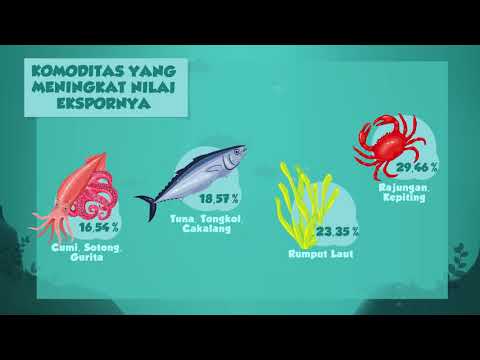 Jahe meningkatkan impotensi Alat video menarik