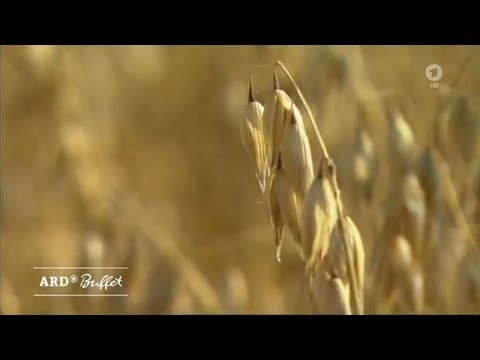 Hafer ist die Arzneipflanze des Jahres 2017 (ARD-Buffet 26.04.2017)