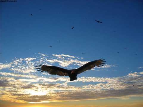 Dan Stone & Phil Young - Summer Tide (Rozza Remix)