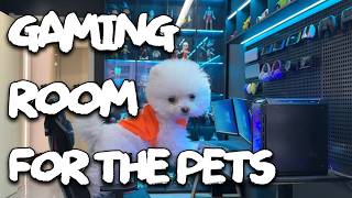 Download lagu Building a Mini-Gaming Room in the Mini-House #pets #kawaii mp3