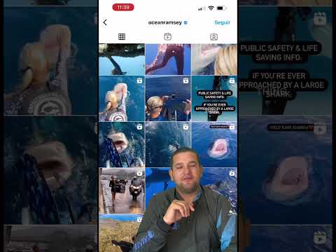 Almost got EATEN by a SHARK 😱 #shark #danger #diving #fishinguniverse #shorts