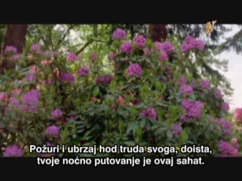 KASIDA NUNIJA od imama Ibn Kajjima El Dzevzijja