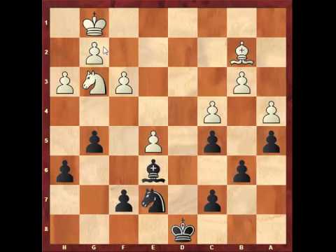 Chess: Alexander Grischuk 2764 vs Vladimir Kramnik 2810,Ruy Lopez http://sunday.b1u.org ✔️
