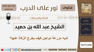 صورة لديه مزرعة دواجن كيف يخرج الزكاة عنها؟ الشيخ ابن حميد - مشروع كبار العلماء