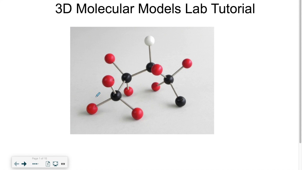 3D Molecular Models Lab Tutorial