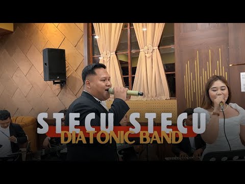 Stecu Stecu | Diatonic Band