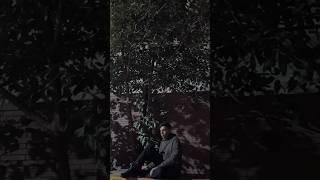 Download lagu gulon main rang bharey 💌 mp3