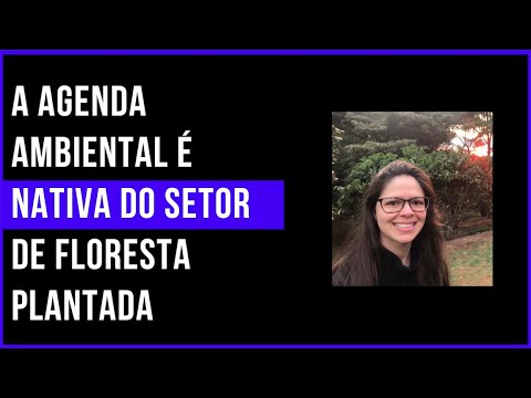 4.0 no Campo: A agenda ambiental é nativa ao setor de floresta plantada