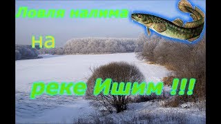 Ссылка