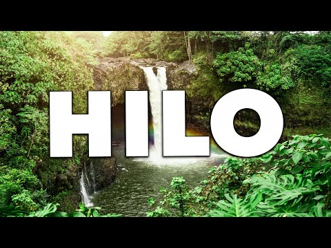 Top 10 Best Things to Do in Hilo, Hawaii [Hilo Travel Guide 2023]