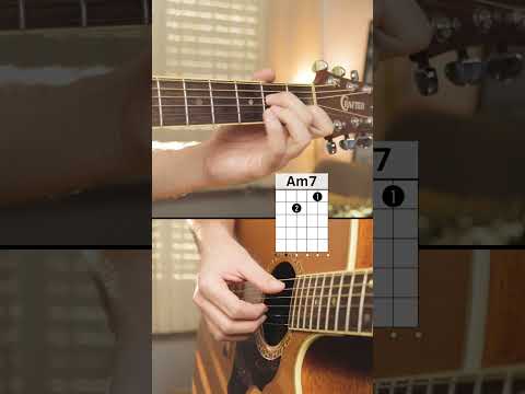 Be More Barrio - Sheppard