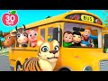 The Wheels on The Bus Song (Animal Version) | Newborn Baby Songs & Nursery Rhymes
