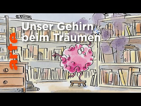 Why do we dream? | He who doesn't ask questions dies ignorant! | ARTE