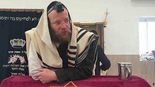 היוצא בשיירה | הרב צבי חלמיש שליט"א | הלכה יומית