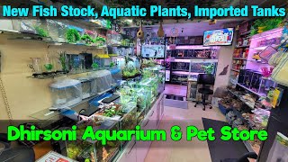 New Aquarium Fish Stock at Dhirsoni Aquarium Store in Thane