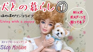 犬との暮らし① Living with puppy (Stop motion) Barbie