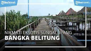 Jelajah Seru ke Sungai Upang Tanah Bawah, Tempat Wisata di Bangka dengan Pemandangan Indah