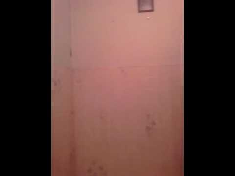 LITE FORTUNATO z FRAGRANCE