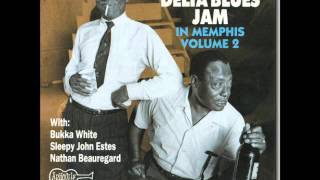 Sleepy John Estes, Little Laura, Memphis Blues Festival, June 1969.