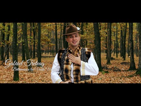 Gabriel Treteag - Bătrâneasca lui Vasile Mucea