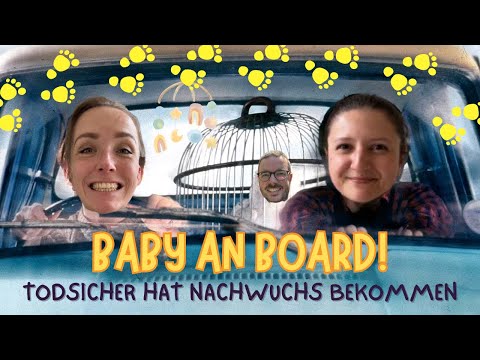 Baby an Board! Die Pregnancy-Brain-Folge | todsicher Podcast