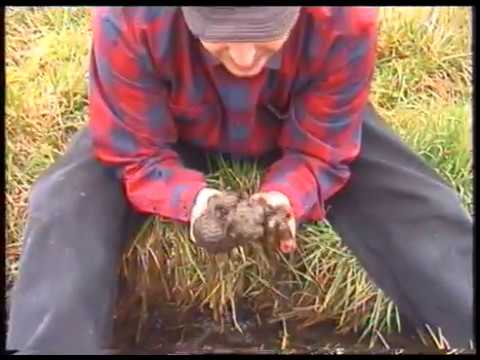 BTK - Unter Null (VHS BOOTLEG VIDEO)