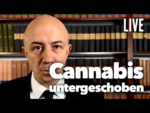 Korrupter Polizist freigesprochen - Cannabis untergeschoben, AG Mannheim - LIVE