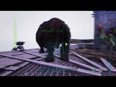 ARK: Survival Evolved breeding rhinos