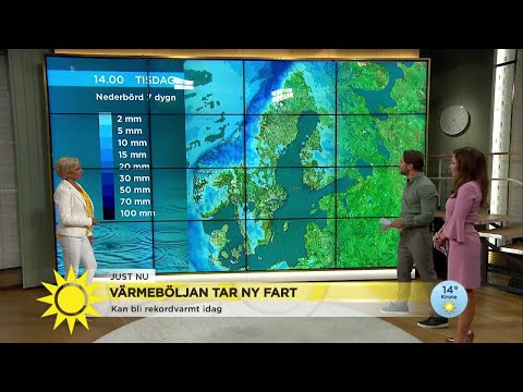 "Idag kan det bli värmerekord" - Nyhetsmorgon (TV4)