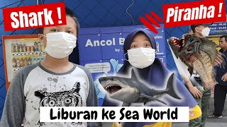 Download lagu Liburan Seru ke Sea World Ancol - Mengenal  Hewan Laut mp3