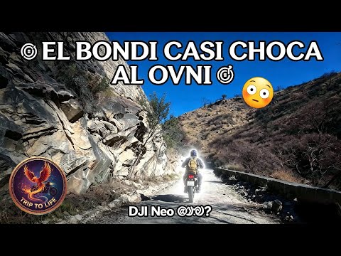 Sali a buscar un trebol de 4 hojas , y El bondi casi cho﻿ca al ovni Dji neo😅😲🧐