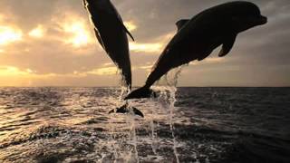 EROS RAMAZZOTTI SILVER E MISSIE - TUTTE STORIE