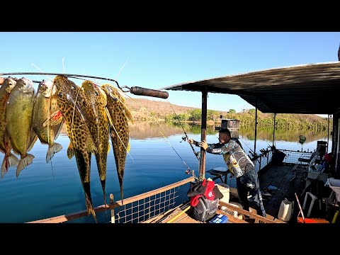 It's not a stage, it's a floating house, fishing for the biggest mandi in Brazil!