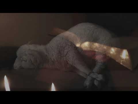 Golgotha · The Good Friday Series (6/8)