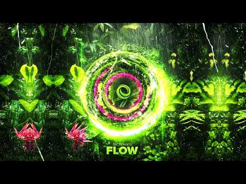 Section303 - Never Ending Summer