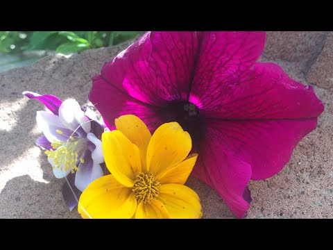 Unboxing from Orion and and The Stone Unicorn