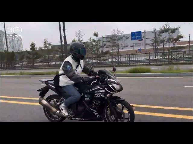 김나연, 홍순형, 오채은