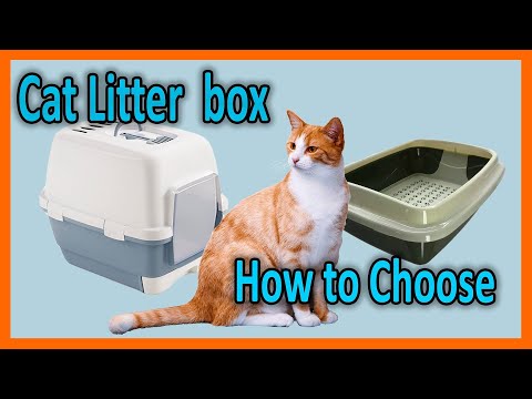 Best Cat Litter box - How to Choose?