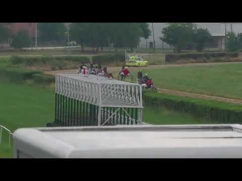 Trka ''Tulba'' 11.6.2022. Gracija - Zivojinovic Zoran