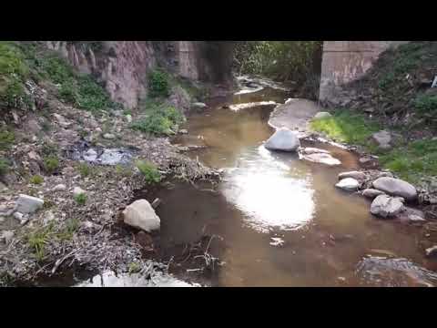 Arbúcies.La selva.Girona
