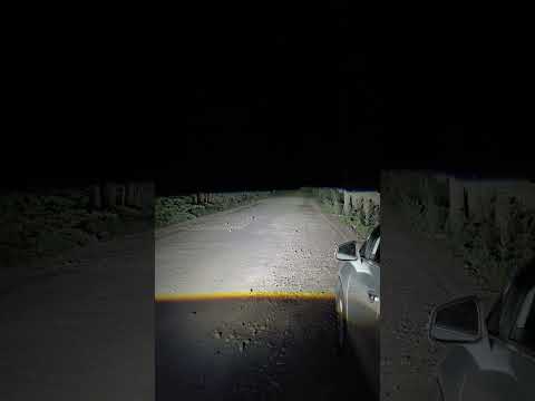 фото bi-led модуль 3 дюйма sunrise top racer 0