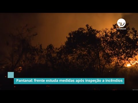 Pantanal: frente estuda medidas após inspeção a incêndios - 23/09/20